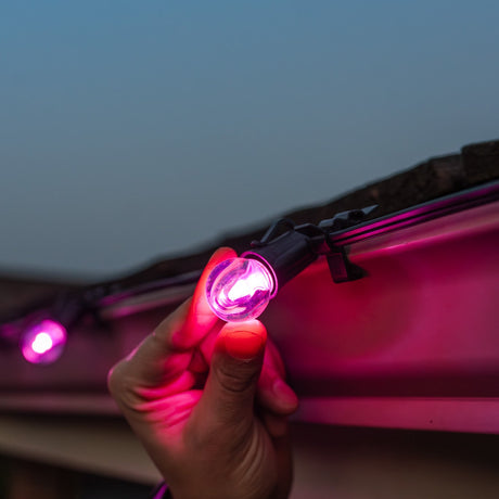 100ft Backyard Bundle - G30 Bulbs