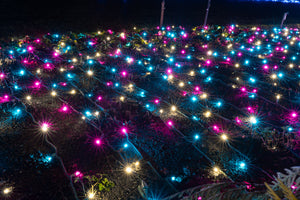 Themed Mini Lights - The Modernist (25 ft)