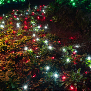Themed Mini Lights - The Candy Cane 1 (25ft)