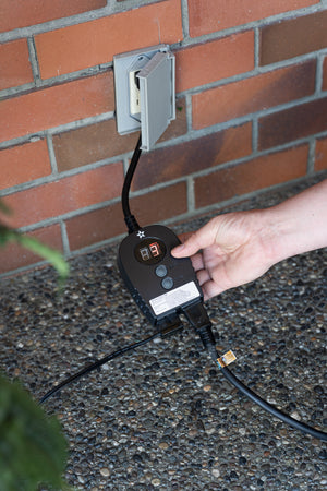 Timer (Case of 25) Pre-order