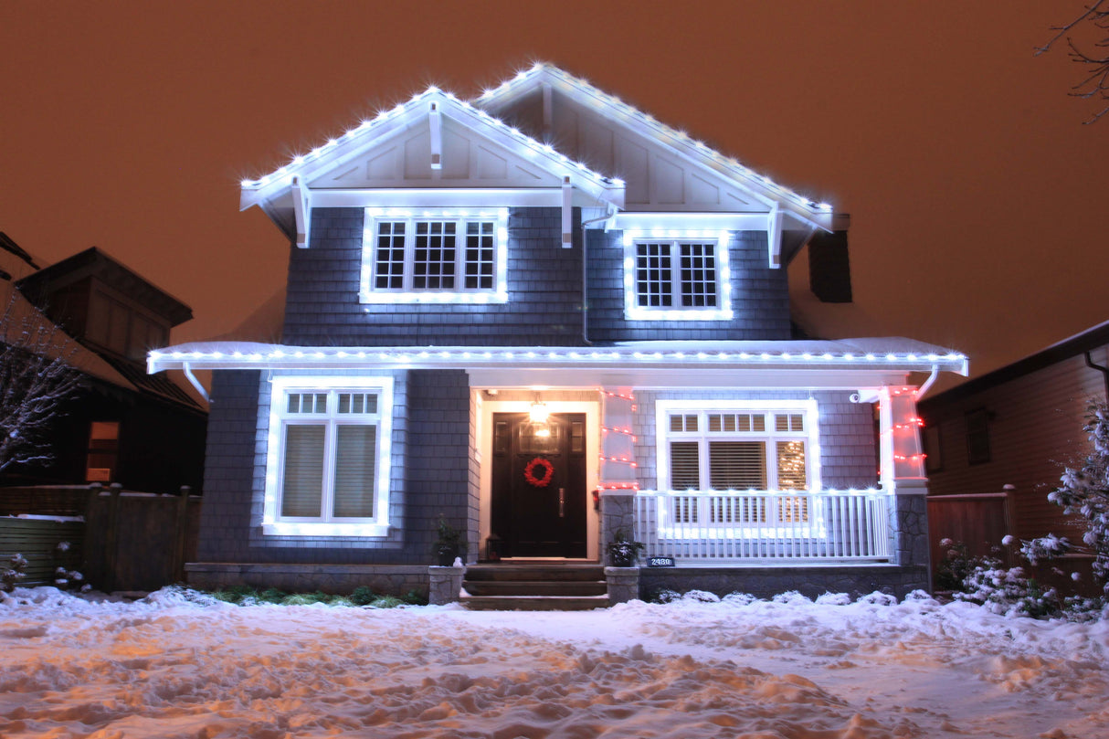 100ft Roofline Bundle - G30 Bulbs