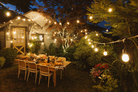 100ft Festive Backyard Bundle - S14 Bulbs