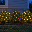 Christmas Foliage Glow Bundle installed-result example showing three c6 foliage zones: two warm white and one multicolor
