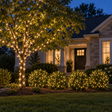 Front Yard Glow Bundle installed-result example showing one small-to-medium tree and up to four pictured shrubs
