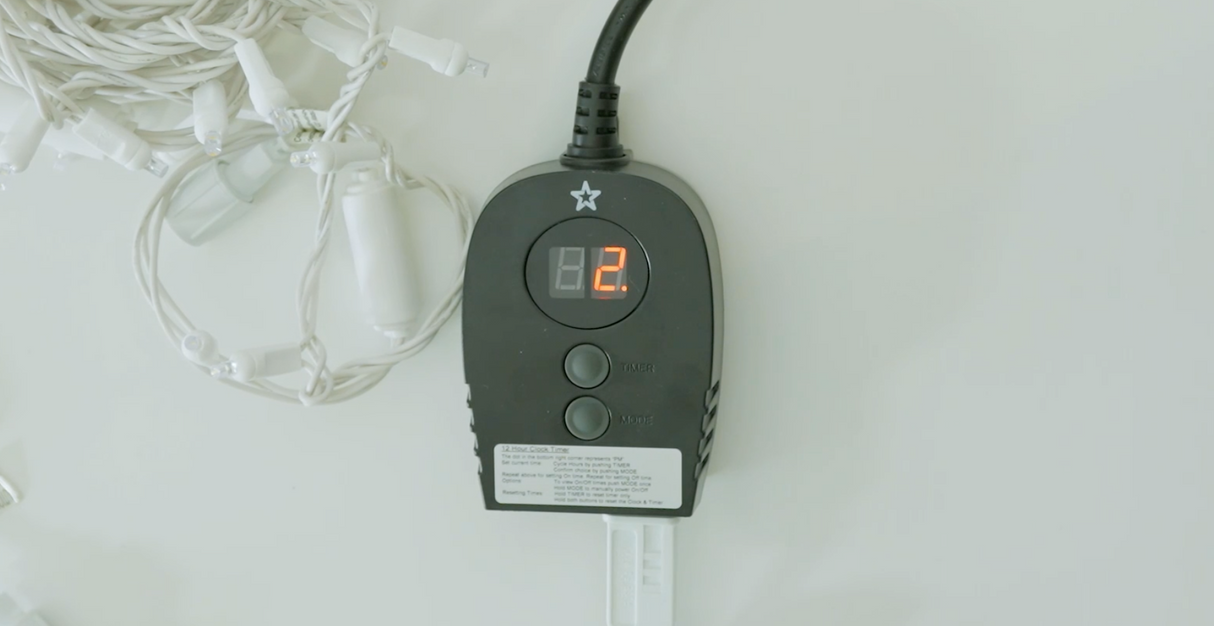 Timer (Case of 25) Pre-order