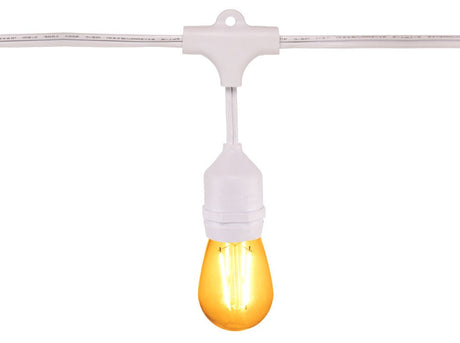 100ft Festive Backyard Bundle - S14 Bulbs